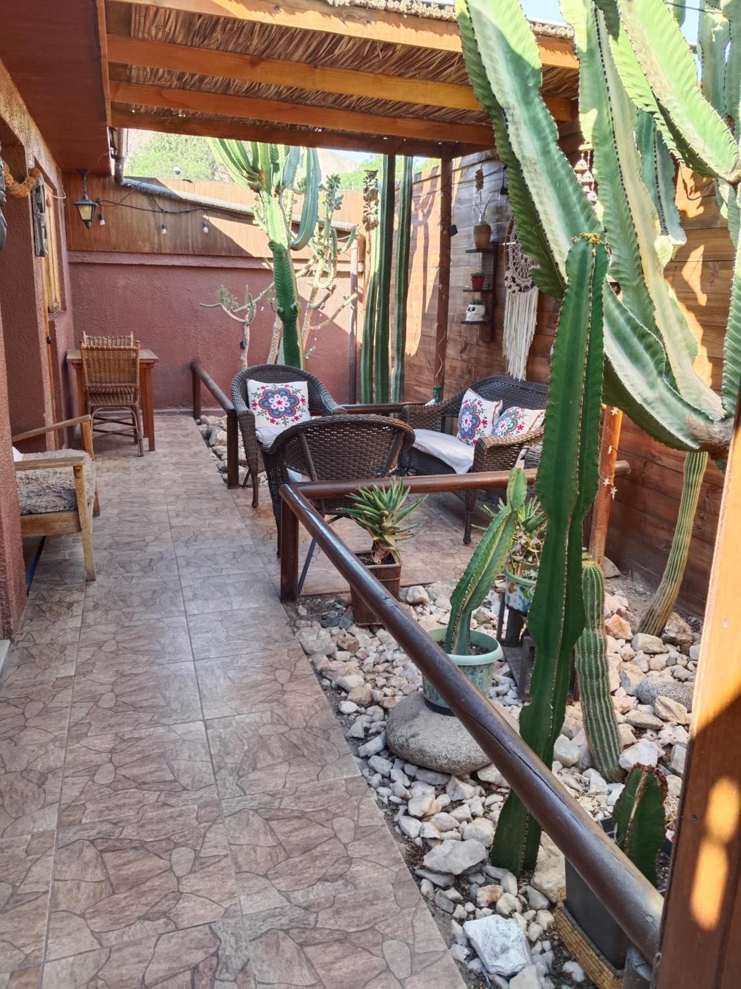 Hostal Cactus Copiapó Eksteriør billede