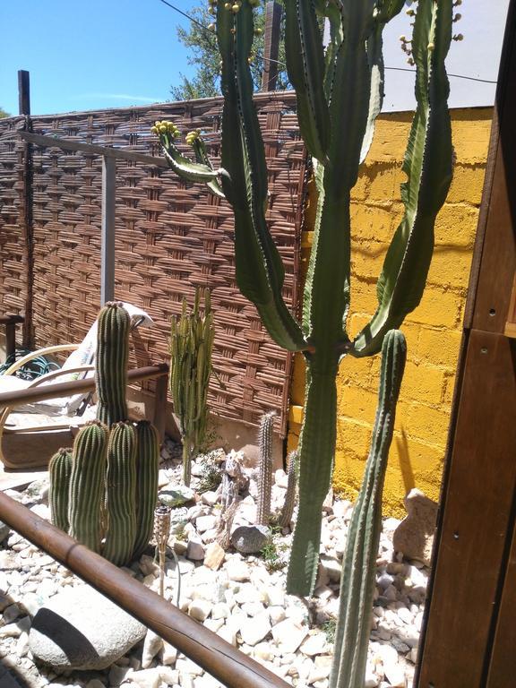 Hostal Cactus Copiapó Eksteriør billede