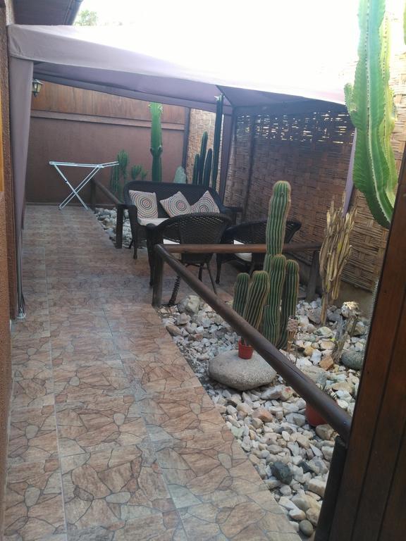 Hostal Cactus Copiapó Eksteriør billede