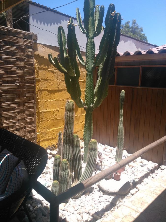 Hostal Cactus Copiapó Eksteriør billede